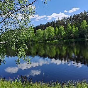 Baza vidpochinku  ZHoster